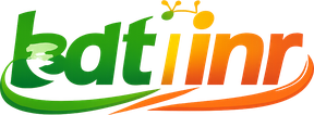 bdt inr সাইটের প্রধান লোগো